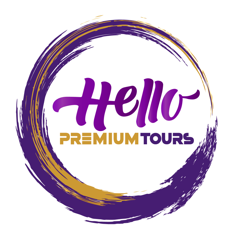 Senior Holidays Logo